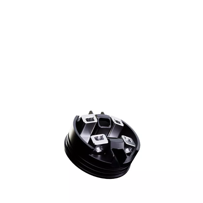 Early Bird Turnstone RDA - Image 6